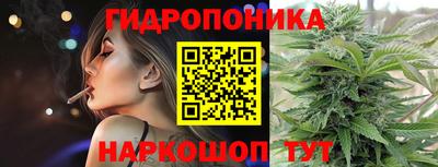 jwh Свободный