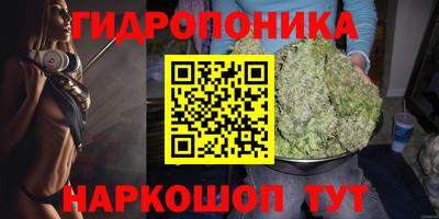 прущие крисы Северобайкальск