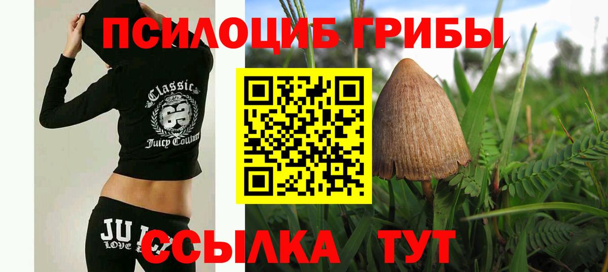 Белореченск  Псилоцибиновые грибы ЛСД  Псилоцибиновые грибы мухоморы  купить наркоту  Вход с VPN 